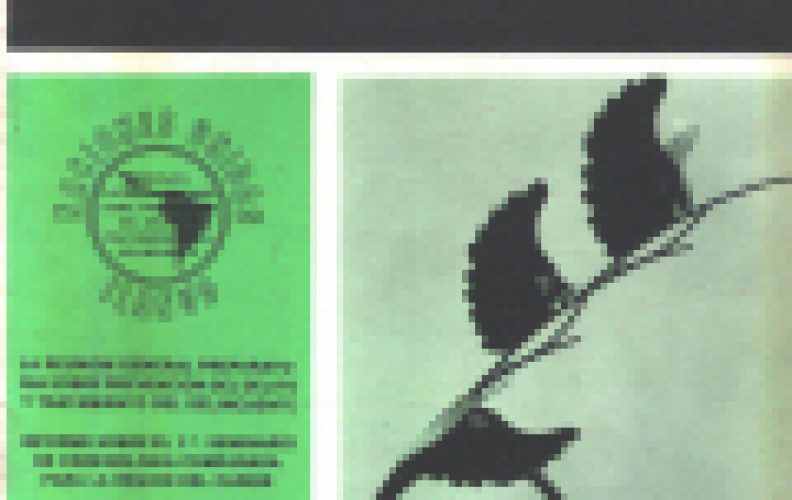 Revista ILANUD #3